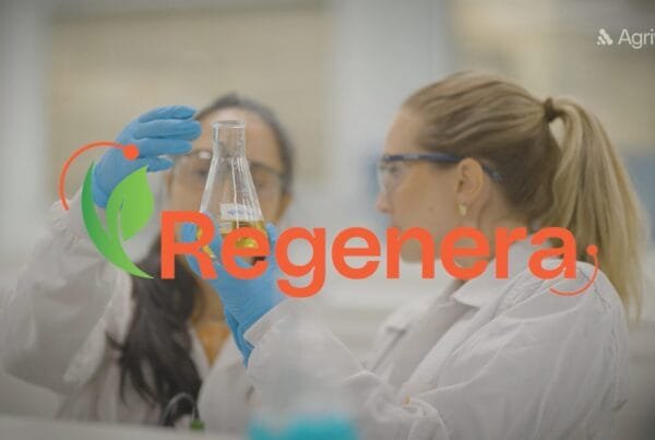 Webserie Regenera